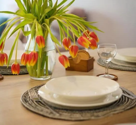 Lovely&cozy * Lagoa (Algarve)